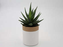 Laden Sie das Bild in den Galerie-Viewer, Blumentopf mit Selbstbewässerung aus dem 3D Drucker